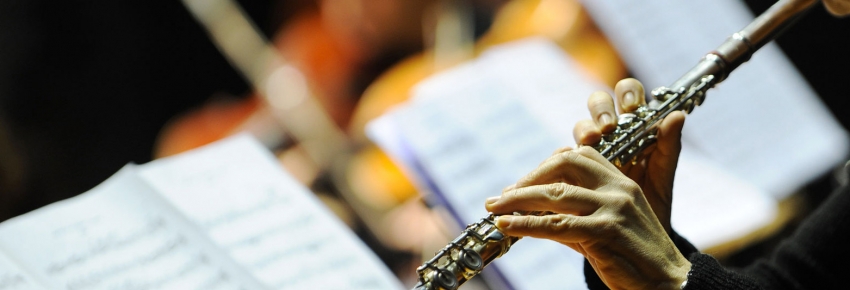 Ponentes del próximo IV Congreso Nacional de Amproband